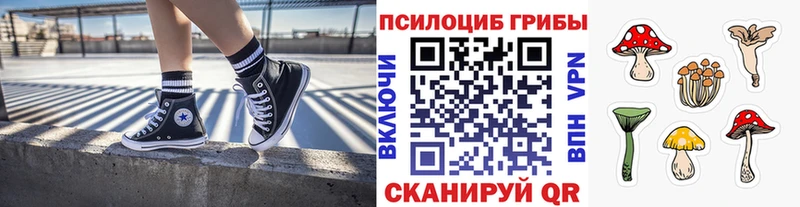 Купить  Тосно  Псилоцибиновые грибы мухоморы 